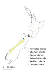 Veronica societatis distribution map based on databased records at AK, CHR & WELT.
 Image: K.Boardman © Landcare Research 2022 CC-BY 4.0